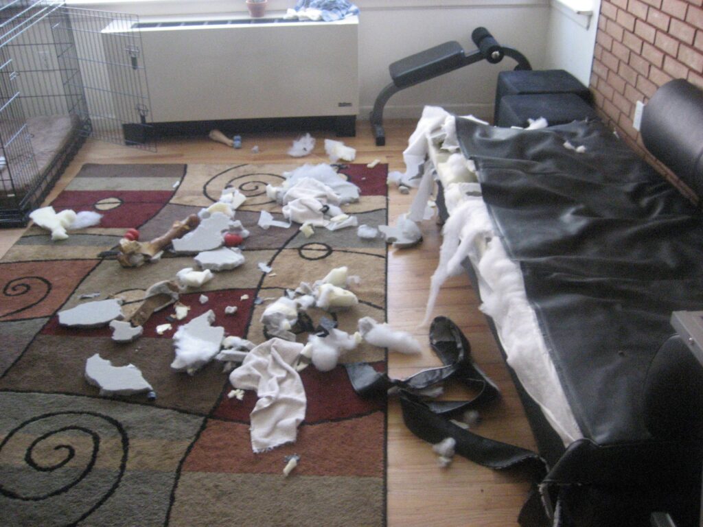 An indoor scene of mischief with stuffing and pieces of a chewed-up couch scattered all over a patterned rug, indicating a dog's playful yet destructive behavior in the absence of owners.