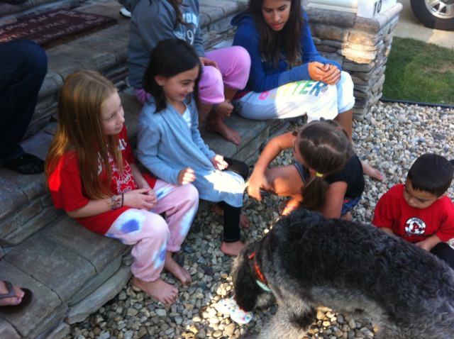 Lola, a well-behaved Labradoodle, sits among a group of children on a pebbled patio, now a playful and gentle companion after her training at K9KEY.