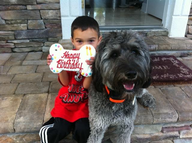 Lola, a friendly Labradoodle, poses next to a young boy proudly holding up a 'Happy Birthday' treat bone, both sharing a celebratory moment.
